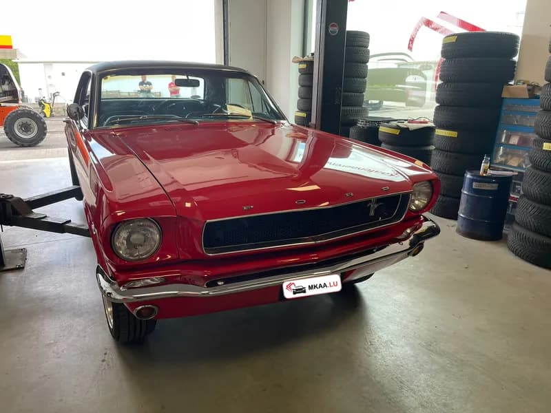 Ford Fahrzeug 1 - MKAA Autoankauf Luxemburg