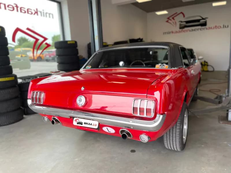 Ford Fahrzeug 3 - MKAA Autoankauf Luxemburg