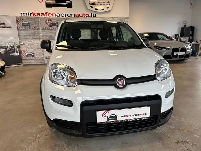 Fiat verkaufen in Luxemburg - MKAA Autoankauf